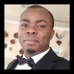 Gbétondji Ighor DEHOU