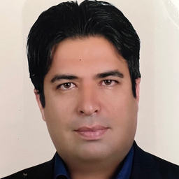 mohsen mohseni