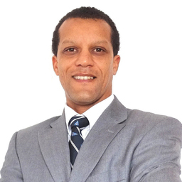 Ing. Artur Levene