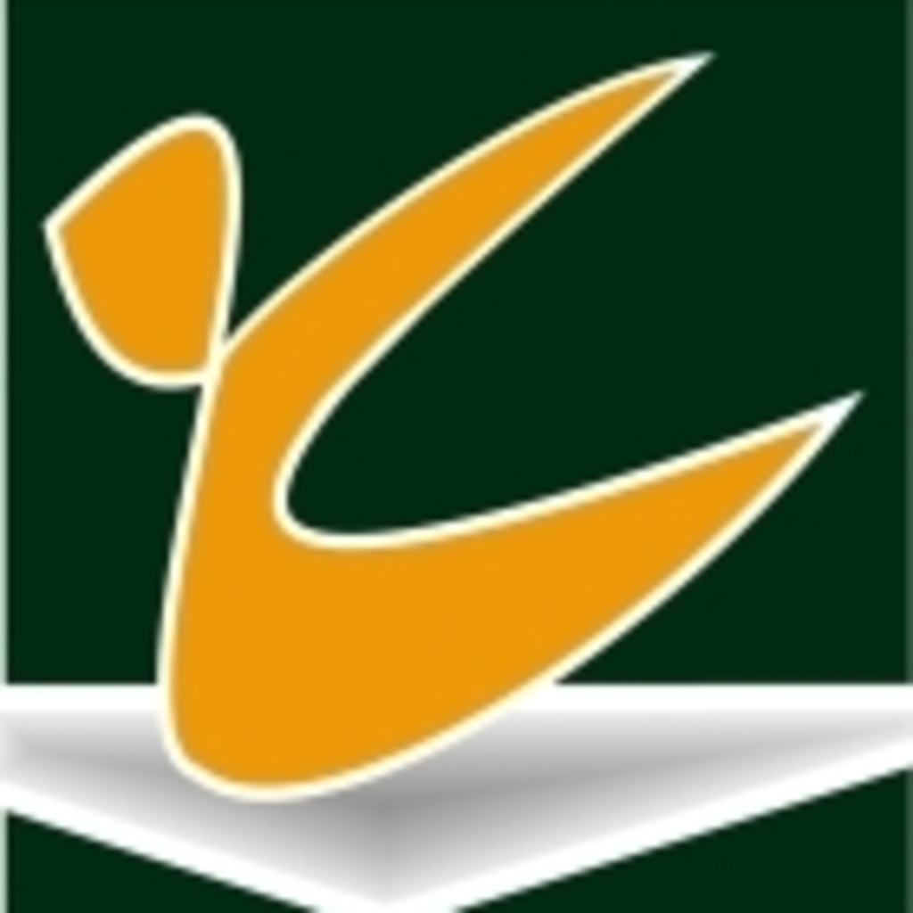 Antonio José Aliaga Teruel Gerente Estuido Técnico Cosmos 3G XING