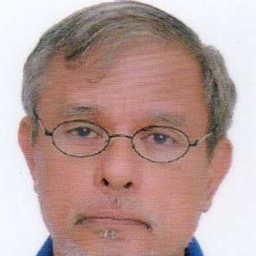 Nicolas N. Alberca