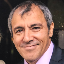 Domenico Di Lisa