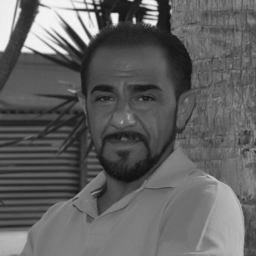 Fikret Budak
