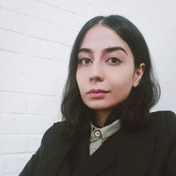 Delaram Kashani