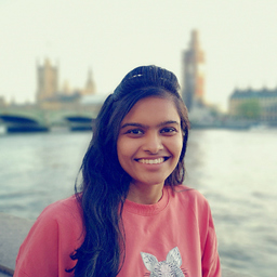 Ing. Bhumi Gopani