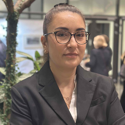 Ilcan Simsek