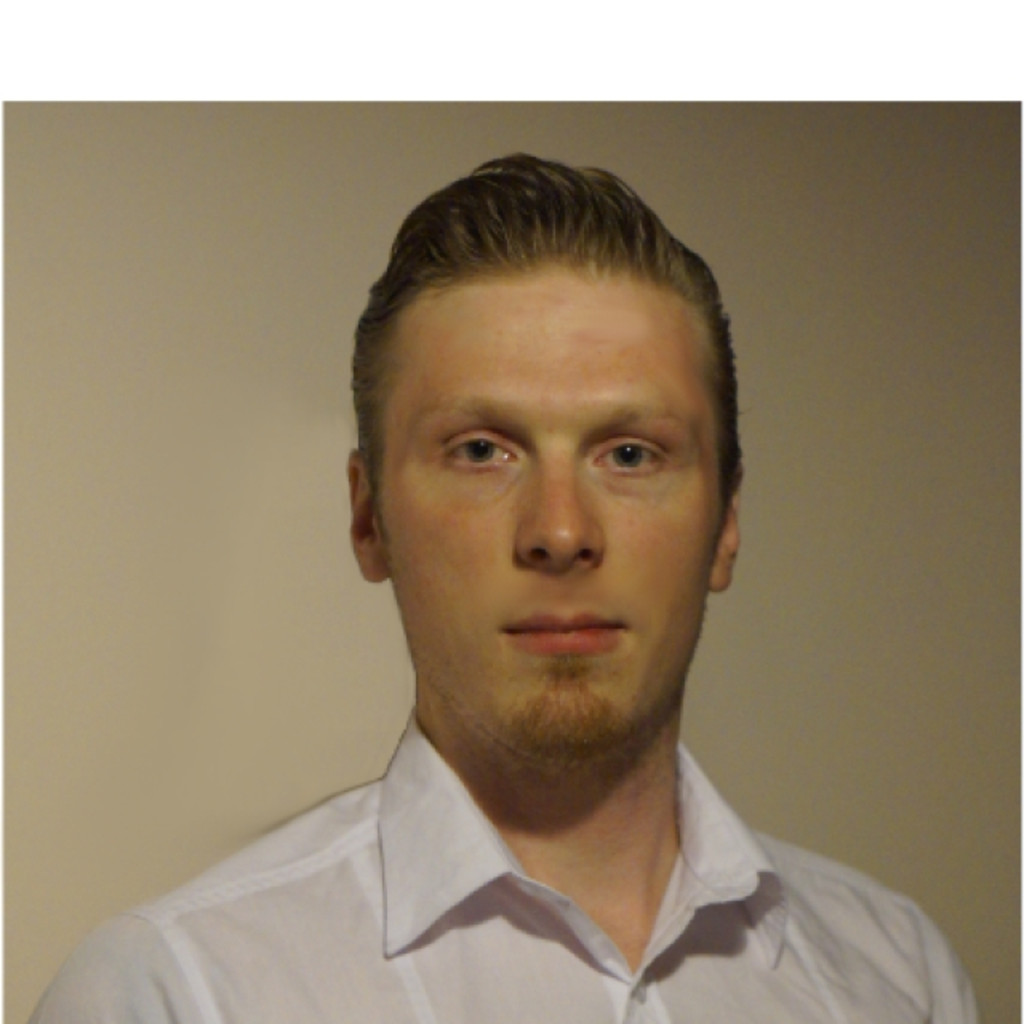 Martin Hering Consultant Hiral GmbH XING