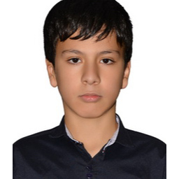 Mohammad Amin Daneshmandi