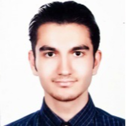 Amir Ali Milani