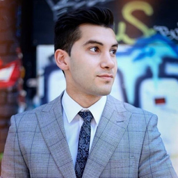 Armin Safaei