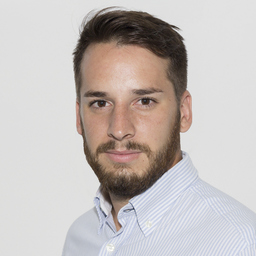 Javier Ramirez de Verger Casas