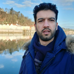 Mohammad Tabibi Najafabadi