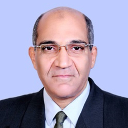 magdi mohamed