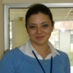 Ahu Baki