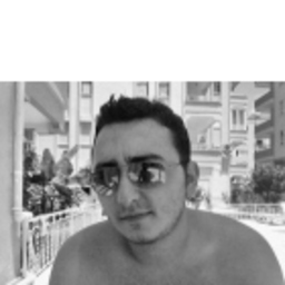 Okan Sarı