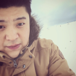 Michel Wang