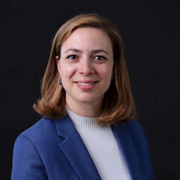 Dr. Dorothee Meng