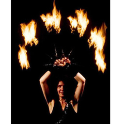 Lilian Feuerzeuger's profile picture