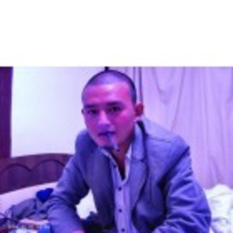 升 张