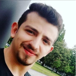 Mohamad Alkiswani