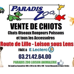 Paradis Zoo Loison