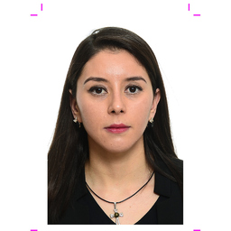Yolanda Fierro Castillo