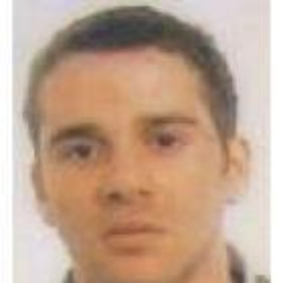 Francisco Javier Alzás Guillén