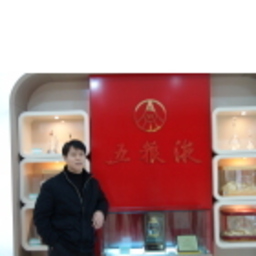 嘉辉 王