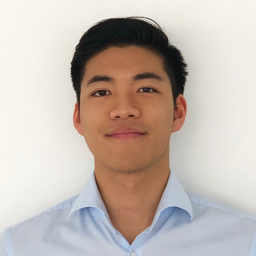 Anh Tuan Nguyen