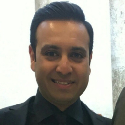 Ing. Hamed Radin