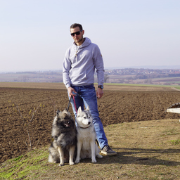 Dennis Käufer's profile picture