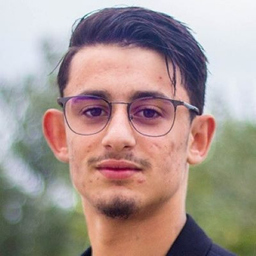 Mohamed Aziz Mansour