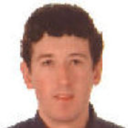 Manuel Bedmar Honrubia
