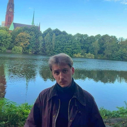 Lukas Steinpreis