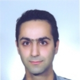 Hesam Mirgolbabaei