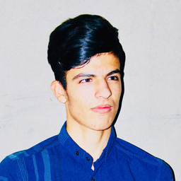 Sadegh Rafiei