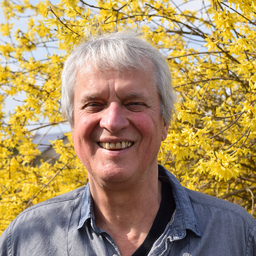 Friedemann Buchfink