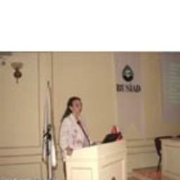 AYSE SEZEN