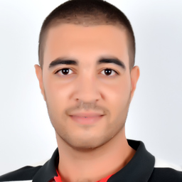 Ing. mohamed walid kharrat