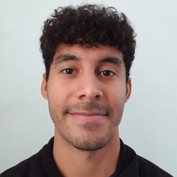 Ricardo Soler Salgado