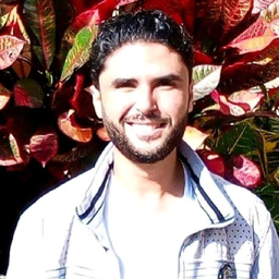Hisham Elaqapa