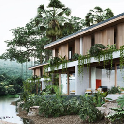 Amber kampot