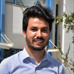Nadhmi Amara