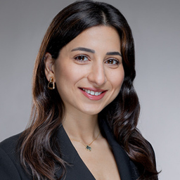 Merve Ergin