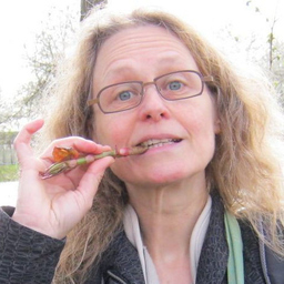 Silke Kluth