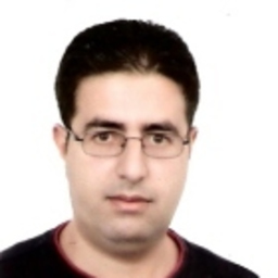 Alaa Hamza