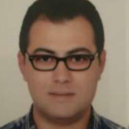 Ing. Ramy Mikhael