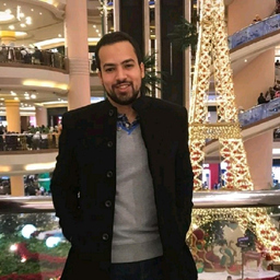 Mohamed ElMansy