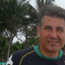 Ansaldi Antonio
