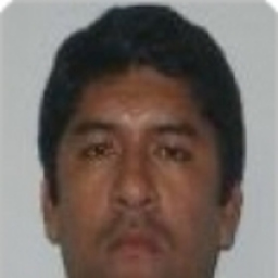 luis arriaga